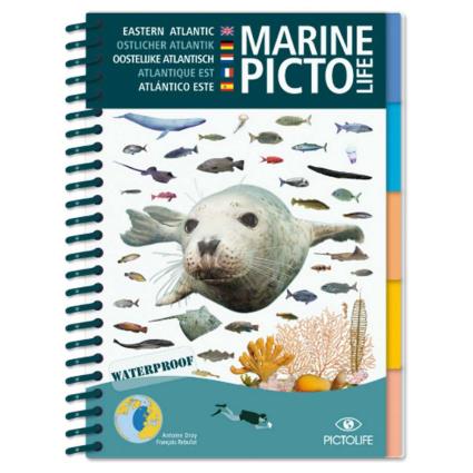 Marine Eeastern Atlantic One Size Blue / White