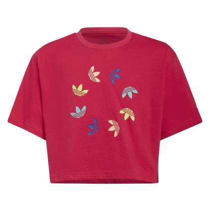 Camiseta De Manga Curta Cropped 128 cm Bold Pink