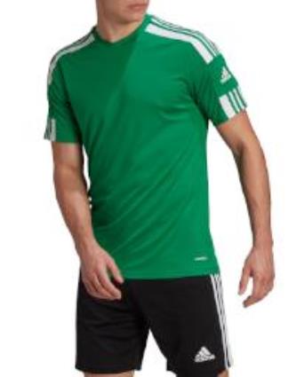 Camiseta Manga Corta Squadra 21 M Team Green / White