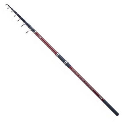 Haste Exceed Telepike Twx 3.00 m