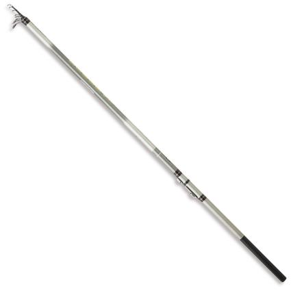 Cana Bolognese Borosa Sx 6.00 m Silver