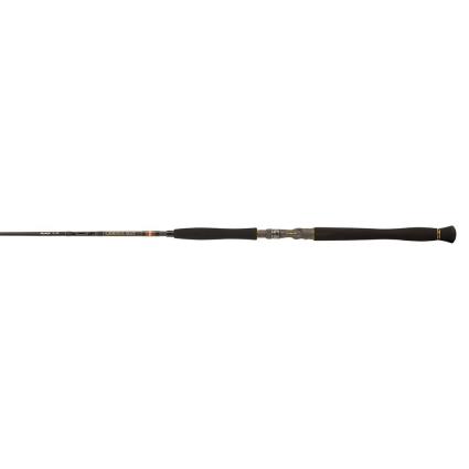 Cana Silúrideo Legion Gold Inliner Cast 1.80 m Black