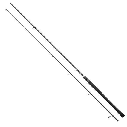 Cana Spinning Sp1 Pro Softbait 2.45 m Black