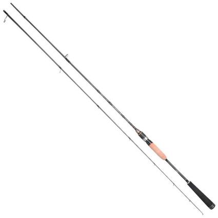 Cana Spinning Aj Master 2.43 m Black