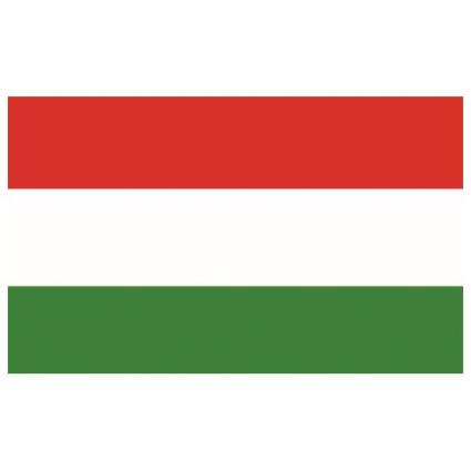 Hungria 30 x 45 cm Red / White / Green