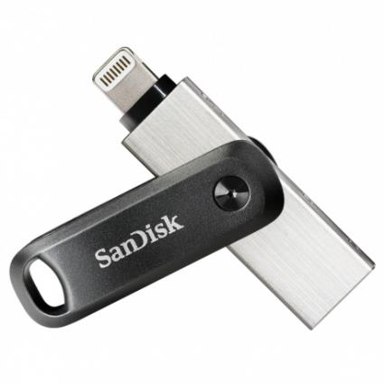 iXpand Flash Drive 256 GB SDIX60N-256G-GN6