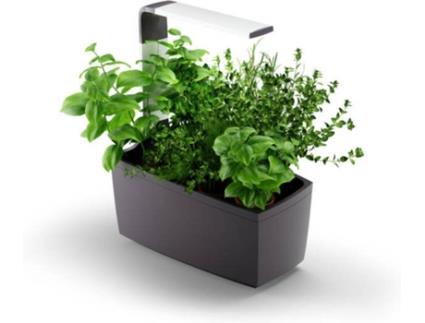 Vaso Inteligente  Kitchen Garden T6 Cinza (Interior - Bluetooth)