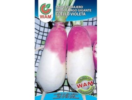 Sementes  Nabo Violeta Médio