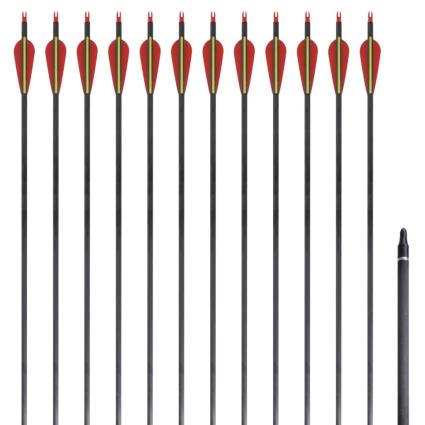 Flechas padrão recurve para arcos 76.2 cm/ 0,76 cm carbono 12 peças