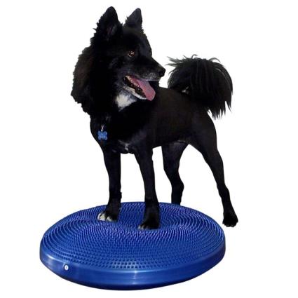 Disco de equilíbrio para animais de estimação 56 cm azul