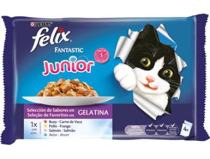 Rações para Gatos  (4 Un - 100g)