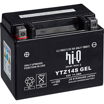 Agm Selada De Gel Ytz14s 12v 11.2ah One Size Black