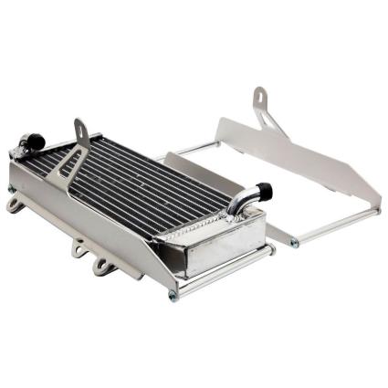Proteção Radiador Alumínio Beta X-trainer 300 15 One Size Ice Polish
