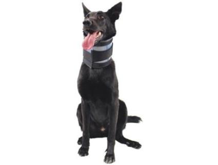 Protetor Cervical para Cães  Bite Free (9-36x9 cm)