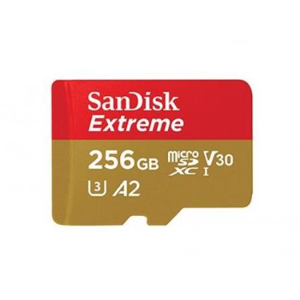 microSDXC V30 A2 256GB Extreme 160MB SD.