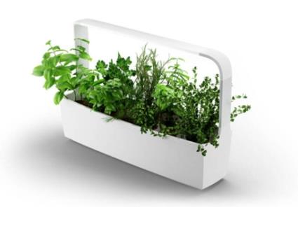 Vaso Inteligente  Kitchen Garden T12 Branco (Interior - Bluetooth)