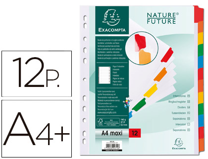 Separador  Cartolina Branco (12 Separadores) Pestanas Coloridas A4+ Multiperfurado