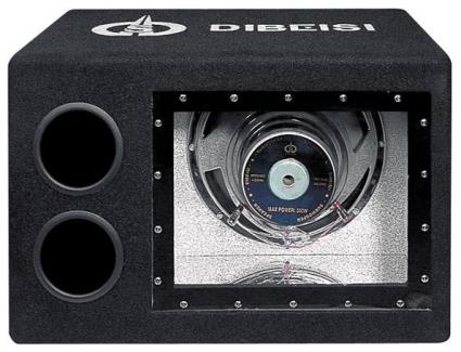 Subwoofer 12 600W + Amplificador - 