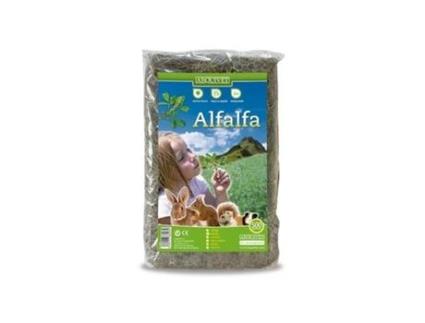 Alfalfa 500 GR 