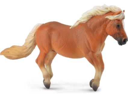 Figura  Shetland Pony Castanha