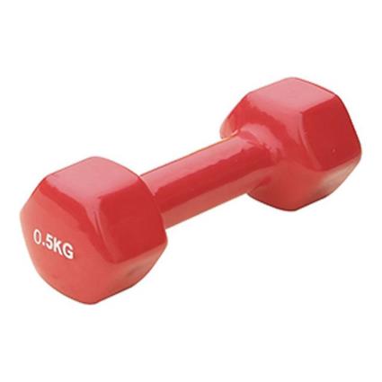 Halteres  FIT20038F 0,5 KG