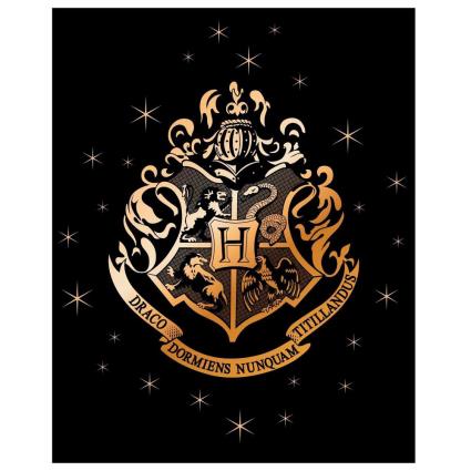 Manta Polar Harry Potter Premium Coralina 120x150 Cm One Size Black