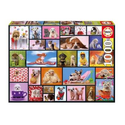 Puzzle Shared Moments  (1000 pcs)