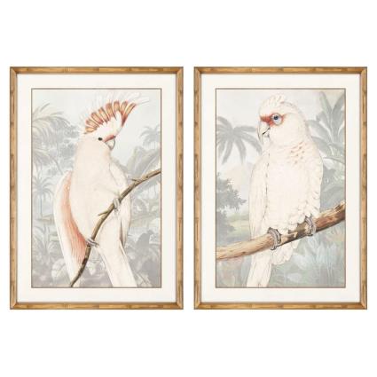 Pintura DKD Home Decor Papagaio (50 x 2 x 70 cm) (2 pcs)