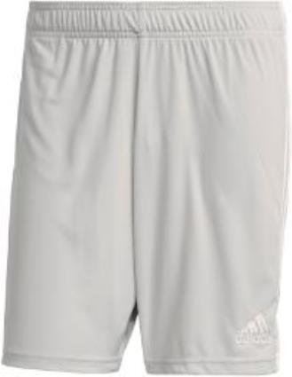 Pantalones Cortos Tastigo 19 S Team Light Grey / White