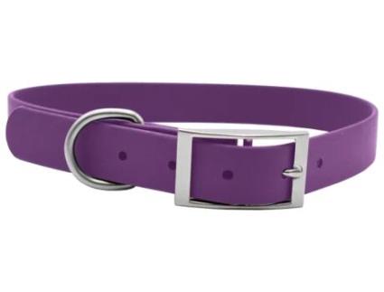 Coleira para Cães em Nylon Roxo 45x1.5 cm 