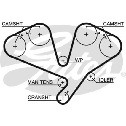 Correia Distribuição  5353xs