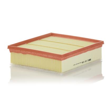 Filtro De Aire  C22039