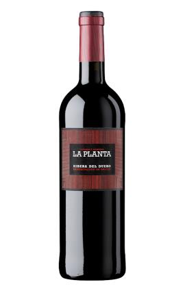 La Planta 2020 Magnum