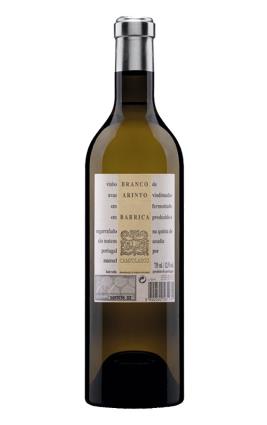 Blanco 2017