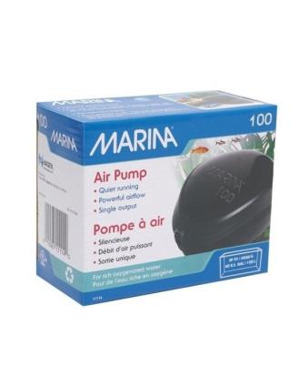 Bomba de ar 100