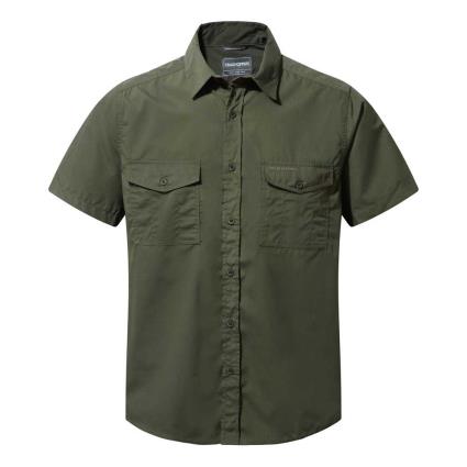 Camisa Manga Curta Kiwi XL Cedar