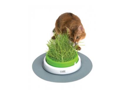 Senses 2.0 Erva Gateira CatNip Base c/ erva gateira
