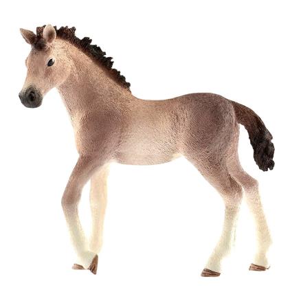 Cavalo Potro Andaluz Club From 3 Years
