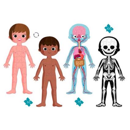 Educational Puzzle-human Body-50 75 100 Pieces 100 Multicolor