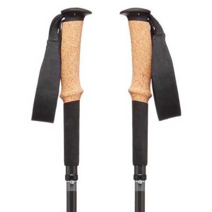 Poloneses Alpine Carbon Z Z 130 cm No Color