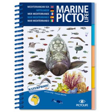 Mediterrâneo Marine Pictolife One Size