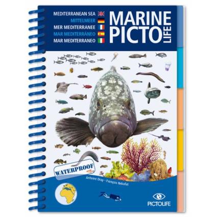 Caribenho Marine Pictolife One Size