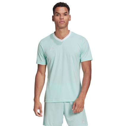 Adidas Camiseta Manga Corta Entrada 22 L Clear Mint