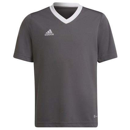 Adidas Camiseta Manga Corta Entrada 22 140 cm Team Grey Four