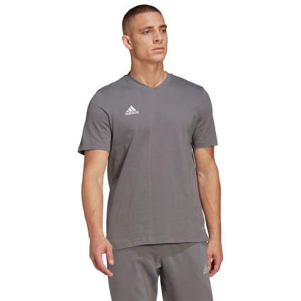 Adidas Badminton Camiseta Manga Corta Entrada 22 M Team Grey Four 1