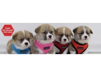 Peitoral Puppia Soft Laranja XL