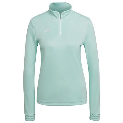 Adidas Sudadera Entrada 22 Training M Clear Mint