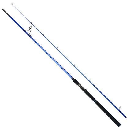 Westin Cana Jigging W6 Powerstick 2.50 m Blue