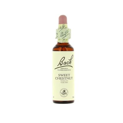 Doze castanhas 20ml de 