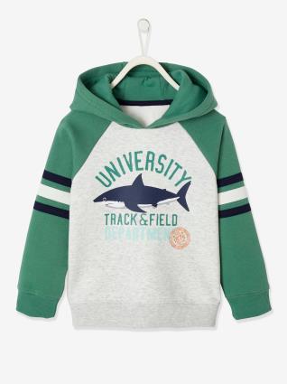 Sweat com capuz e motivo gráfico, para menino verde medio liso com motivo